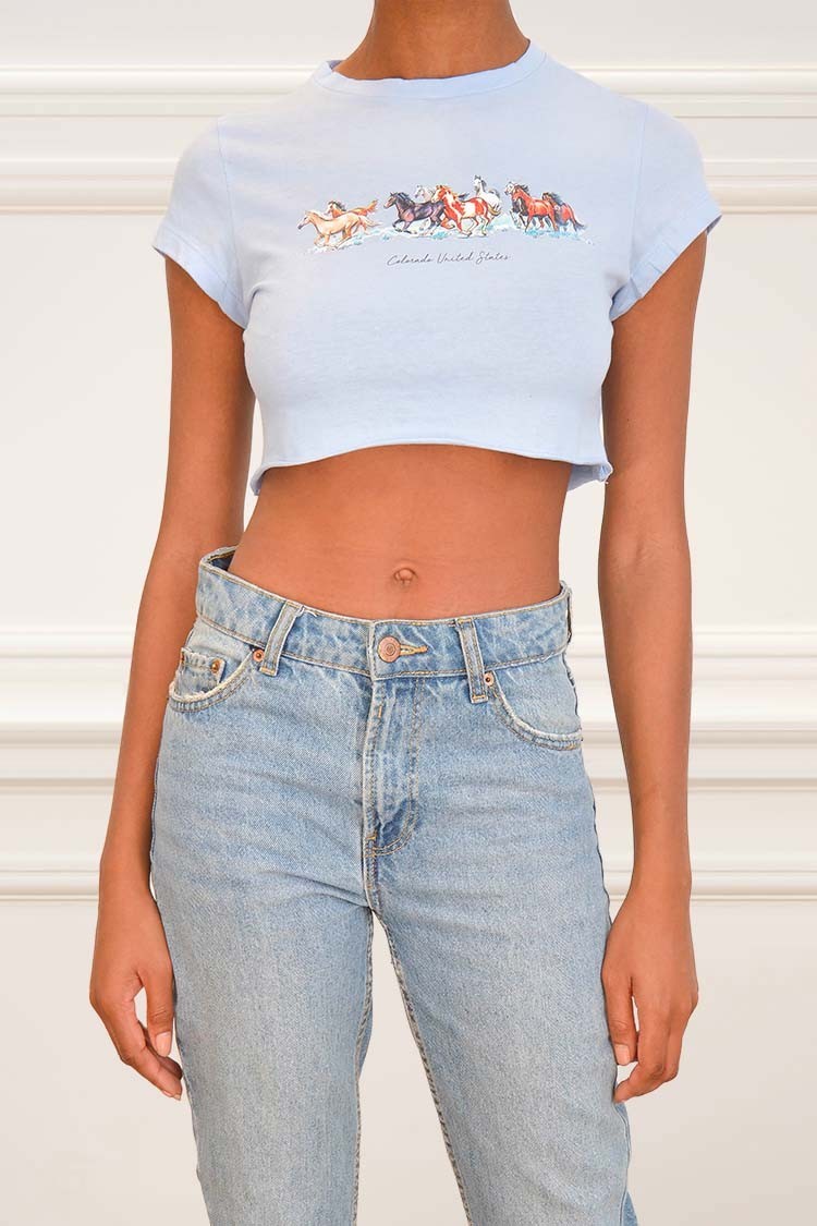Summer Colorado horses top